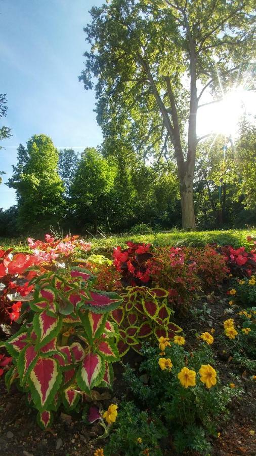 Moderne Ferienwohnungen Am Kurpark - Zentral, Ruhig & Nah Am Edersee Bad Wildungen Exterior foto